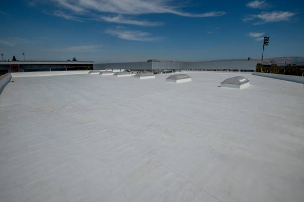 Best Roof Moss and Algae Removal  in Chesterfield, MO